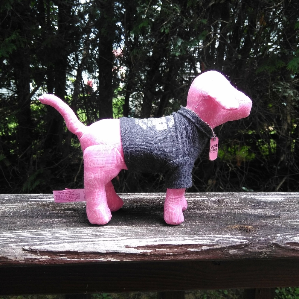 VS Pink Dog